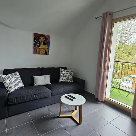 La Grande Mouette Appartement Thonon-les-Bains